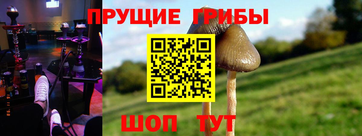 Армавир  Галлюциногенные грибы мицелий  дарнет шоп  Вход с VPN 